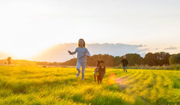 zybios Animal Healthcare Brand zytopia,Corporate Identity